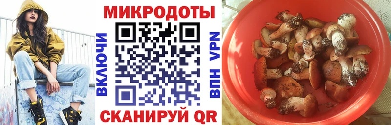 Псилоцибиновые грибы мицелий  наркошоп  kraken ТОР  Хабаровск 